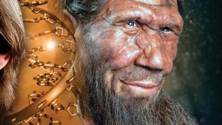 Quirk Of Evolution Limited Neanderthal Genes In Modern People Bt