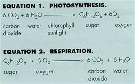 Writing the equation as given in (1) indicates that you are interested in getting the product from the reactant, while writing the equation. GEOL 101 Study Guide (2012-13 Dimova) - Instructor Dimova ...
