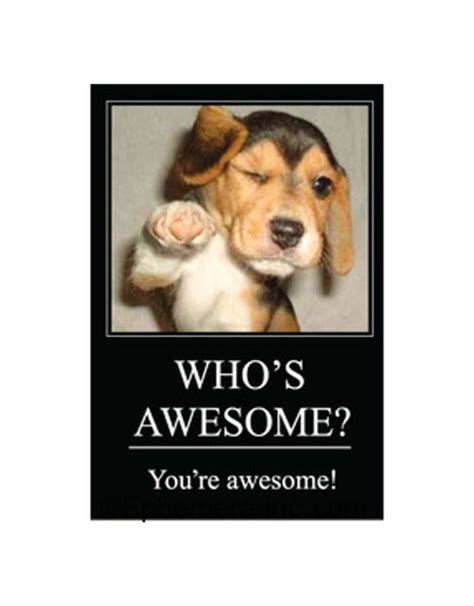 Whos Awesome Youre Awesome Magnet Home