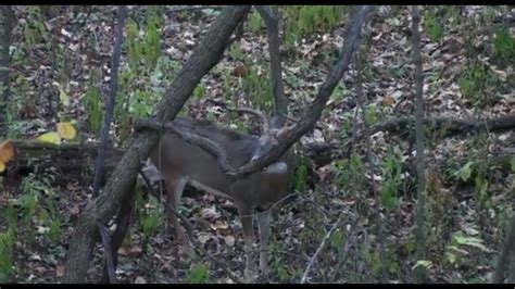 How To Find The Best Locations For Low Impact Deer Stands Youtube