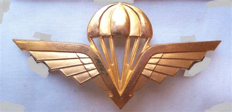 Norway Airborne Parachutist Wings Metal Brevet Badge Gold