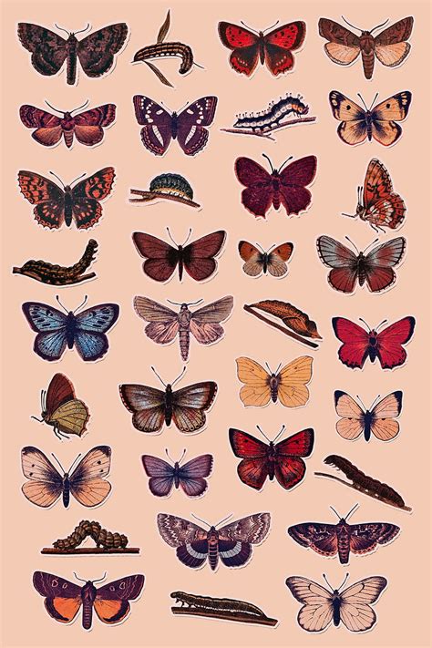 Vintage Butterfly Tech Aesthetic Set Stickers Organizer Phone And