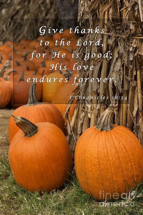 Pumpkin Patch With Scripture Photograph By Jill Lang Pixels