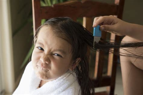 How To Get Rid Of Lice And Nits Permanently Best Removal Options
