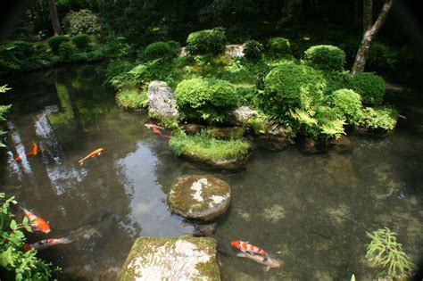 Koi Pond At Sanzen In In Ohara Japan Japanese Garden Koi Pond