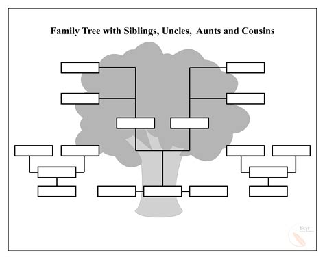 Open microsoft word, click then insert menu and then choose smartart graphics. Free Family Tree Template - PDF, Excel, Word & Google Doc
