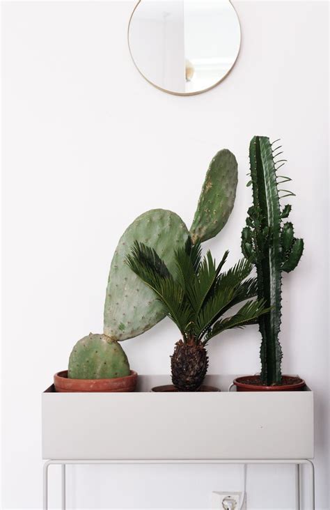 How much of bella gray's work have you seen? Leo & Bella | ferm LIVING Plant Box Grey