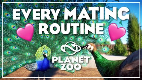 Every Animal Mating Routine In Planet Zoo Youtube