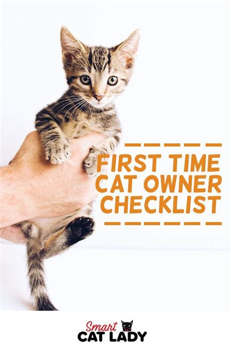 First Time Cat Owner Checklist In 2021 First Time Cat Owner Cats