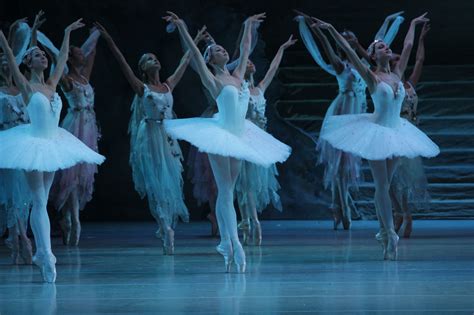 Review Mariinsky Ballet In ‘raymonda Searching About For A Perfect
