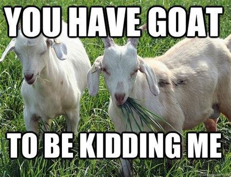 Goat memes are epic and super hilarious, kudos to all the fans and creative minds who have made these. Hilarious Goat Memes Will Have You Laughing All Day ...