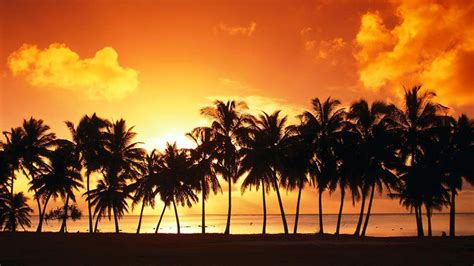 Coconut Trees Near Lake During Sunset Under Sky With