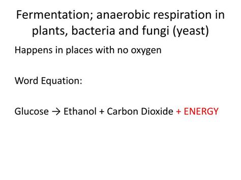 What Is The Symbol Equation For Anaerobic Respiration In Yeast