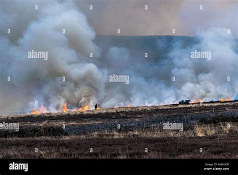 Burning The Moors North Yorks Moors England Stock Photo Alamy