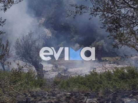 Ένα από αυτά βρίσκεται βυθισμένο στα λιχαδονήσια. Φωτιά στην Εύβοια, η 3η μέσα σε λίγες ώρες (pics ...