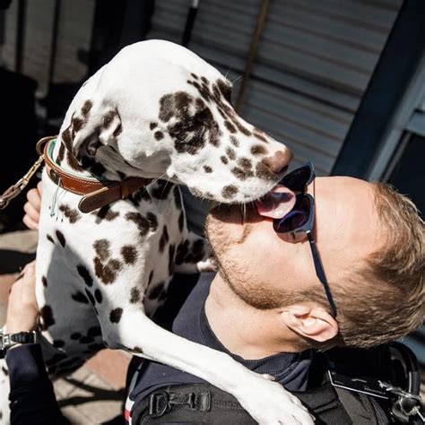 Aug 17, 2021 · the likes of nico hulkenberg and alex albon have been mooted, while even their former driver valtteri bottas could be available for a splash signing. Valtteri Bottas Height, Weight, Age, Body Statistics ...