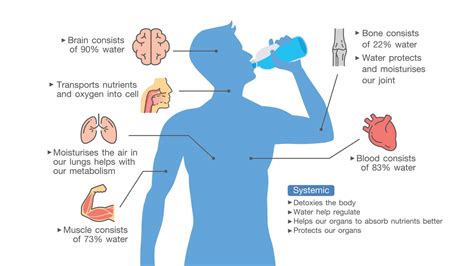 Scientists Explain What Happens To Your Body When You Drink Water Every