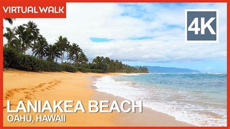 Laniakea Beach 4K Virtual Walking Tour North Shore Oahu Hawaii Beach