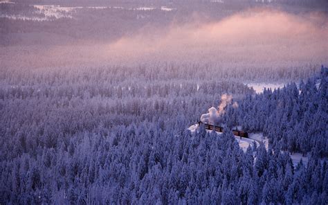 Nature Landscape Winter Forest Mist Train Smoke