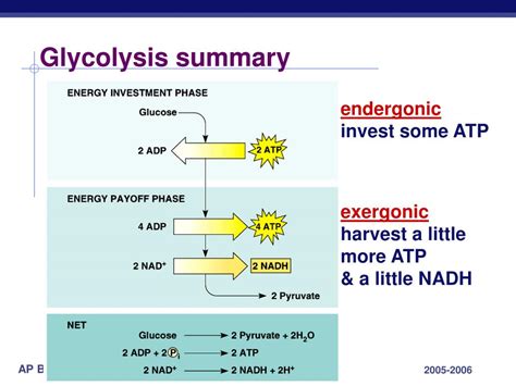 PPT Chapter 9 Cellular Respiration STAGE 1 Glycolysis PowerPoint