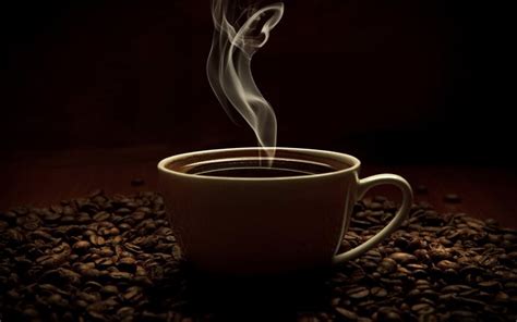 Download Coffee Cup Smoke Wallpapers For Desktop Free Pictures For