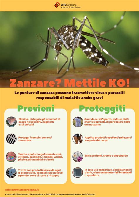 Zanzare Come Prevenire La Proliferazione E Proteggersi Dalle Punture Comune Di Oristano