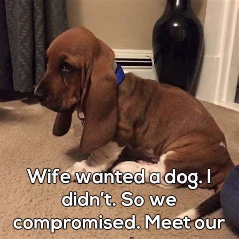 25 Funny Marriage Memes Every Couple Will Understand