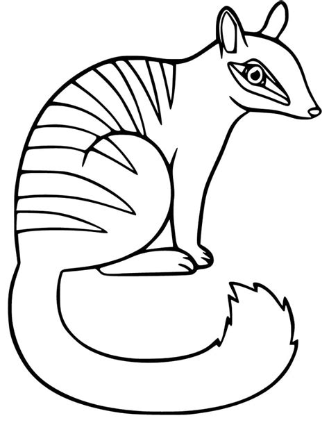Cartoon Numbat Coloring Page Free Printable Coloring Pages For Kids