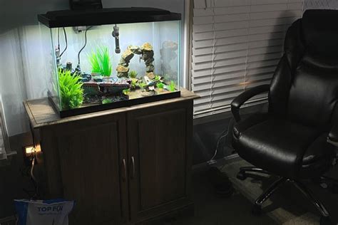 Best 20 Gallon Fish Tank Stand In 2024 Buyers Guide