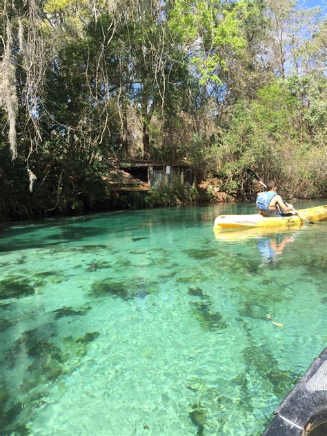 Weeki Wachee Springs State Park All You Need Infos