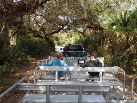 Maybe you would like to learn more about one of these? Things we did today...: Fun Times At Cayo Costa State Park
