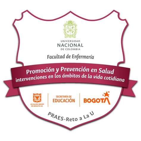 Promoción Y Prevención En Salud Intervenciones En Los Ámbitos De La