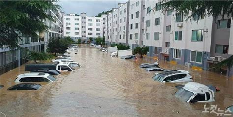 장마 ( season of rainfall). 영상중부 장마 아직 열흘 남았다…'북극 고온현상'에 길어져 ...