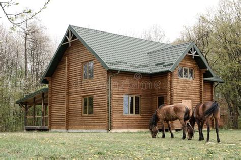 Superior nordic timber quality, manufactured by eko trade log cabin. Horses On Wooden House Background A Small, European-style ...