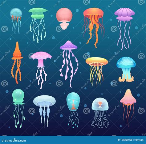 Underwater Jellyfish Beautiful Magic Water Jelly Swimming Animals