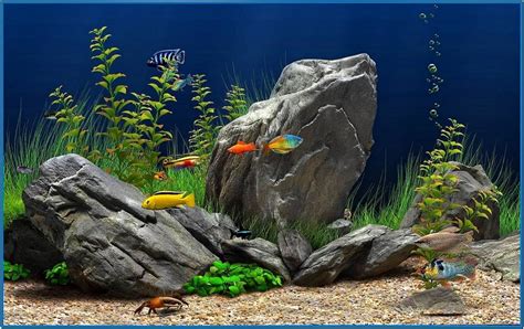 Dream Aquarium Screensaver 11090 Download Free