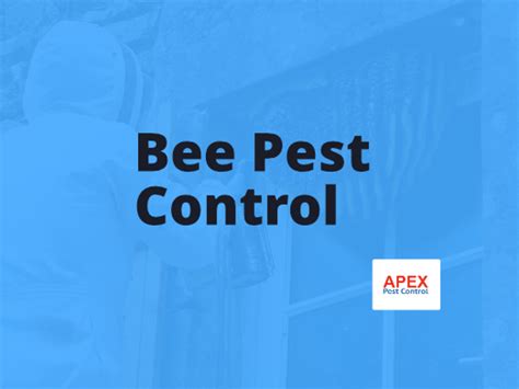Bee Pest Control Remove Bee Nests Safely Apex Pest Control