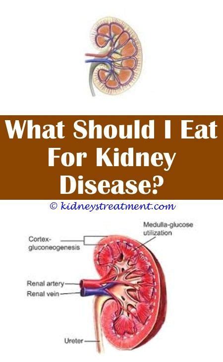 Determine which stage of kidney disease you're in by calculating a glomerular filtration rate (gfr) and start managing your health. 10+ Magnificent Diabetes Cookies Treats Ideas | Kidney ...