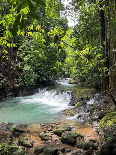 River Cascade In A Dense Jungle In Costa Rica Stock Photo Image Of