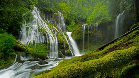 Panther Creek Falls In Spring Ford Pinchot National Forest