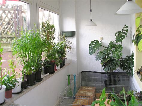 This Is What You Need For Successful Indoor Gardening Hobby Farms