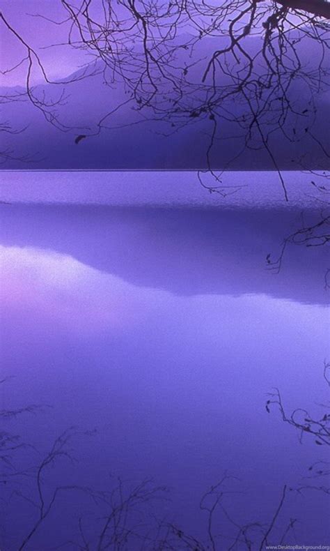 Purple Haze Winter 1920x1080 Hd Wallpapers And Free