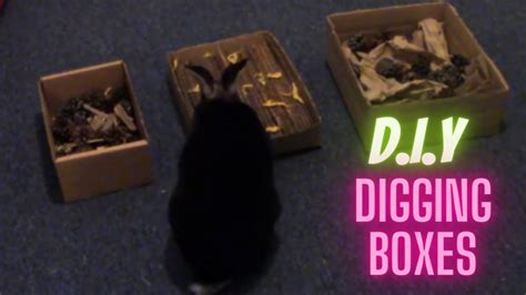 3 Easy Diy Digging Boxes For Rabbits 🐰 Youtube