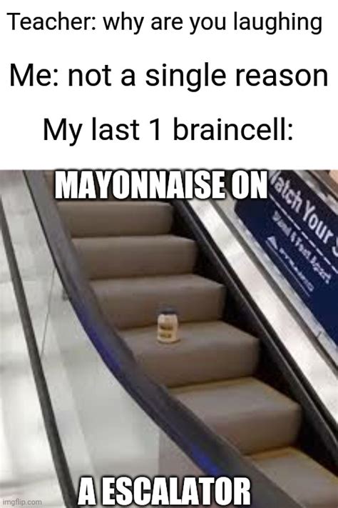 Mayonnaise Imgflip