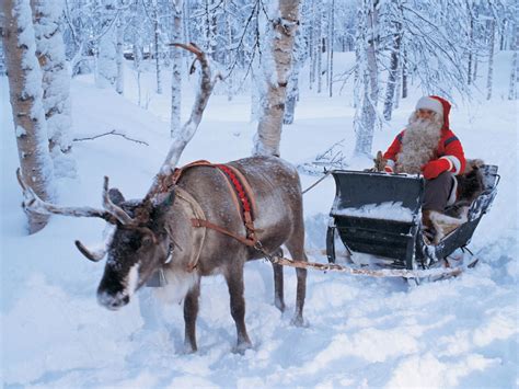 real santa claus and his reindeer in the white forest christmas holiday wallpapers christmas