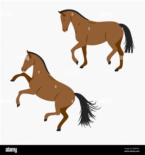Cartoon Brown Horse Running And Standing On White Background Stock