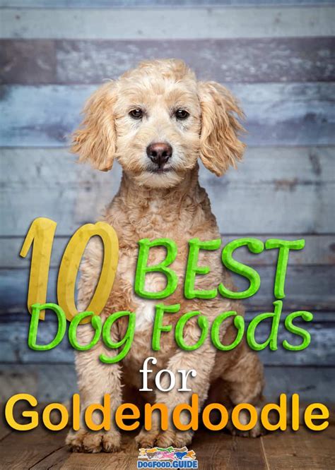 Different dog breeds don't have significantly different nutritional needs. Best Dog Food for Goldendoodle in 2021: 10 Top Brands!