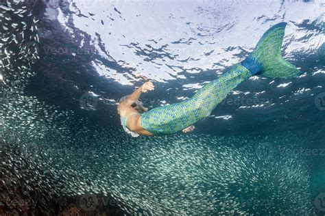 Blonde Beautiful Mermaid Diver Underwater 20225026 Stock Photo At Vecteezy
