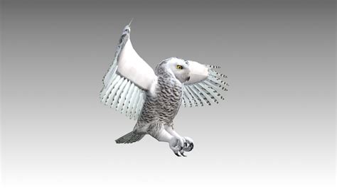 3d Model Snowy Owl Vr Ar Low Poly Rigged Animated Cgtrader