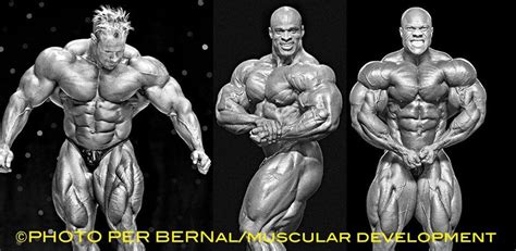 Mrolympia Jay Cutler Bodybuilder Bodybuilding Pictures Ronnie